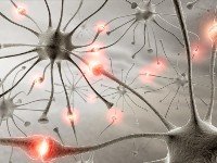 Препараты против эпилепсии повышают риск бесплодия