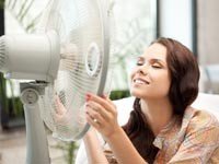 Вентиляторы не спасают от теплового удара