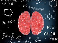 Мозг человека синтезирует собственный нейролептик
