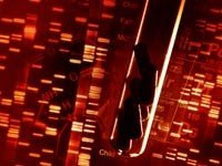 Изучение мутаций в геноме палочки Коха помогут найти оружие против нее